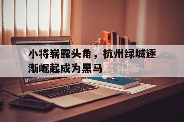 关于小将崭露头角，杭州绿城逐渐崛起成为黑马的信息