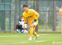 丹麦门将表现抢眼获得技术统计第一(全场数据丹麦全面占优 射门比231仍)