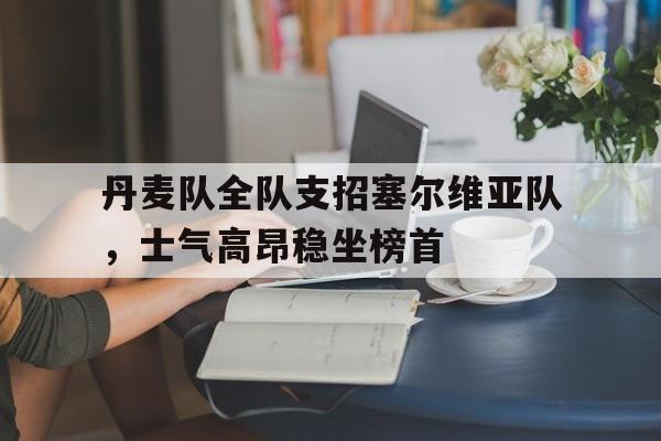 丹麦队全队支招塞尔维亚队，士气高昂稳坐榜首的简单介绍