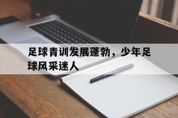 足球青训发展蓬勃，少年足球风采迷人的简单介绍